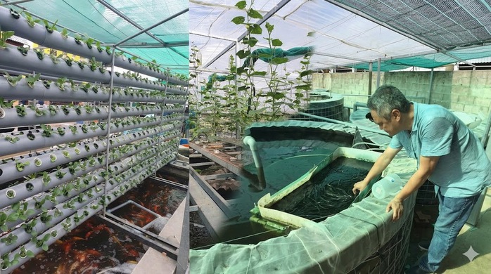 Biến chất thải thành tài nguyên, nuôi mực biển giữa lòng đô thị - Ảnh 2.