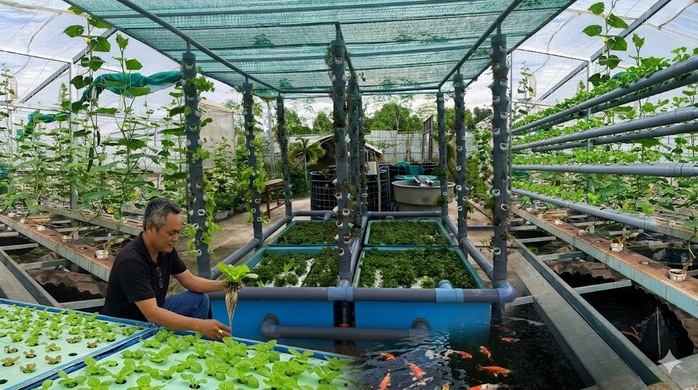 Biến chất thải thành tài nguyên, nuôi mực biển giữa lòng đô thị - Ảnh 1.