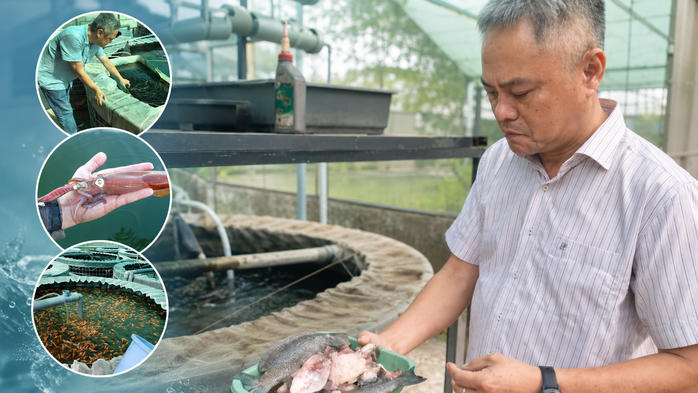 Biến chất thải thành tài nguyên, nuôi mực biển giữa lòng đô thị - Ảnh 3.