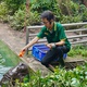 Xúc động chuyện hà mã lùn tại Thảo Cầm Viên Sài Gòn