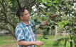 Làm giàu trên mảnh đất cằn cỗi