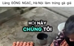 Hiệp hội Gia cầm Việt Nam lên tiếng về thông tin "trứng gà giả"