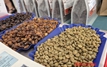 Giá cà phê hôm nay 20-5: Lấy lại đà tăng, kỳ hạn Robusta tăng 3 con số
