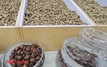 Giá cà phê hôm nay 23-5: Bốc hơi mạnh 3 con số