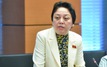 Bà Phạm Khánh Phong Lan: Báo chí vừa thông tin, đi  kiểm tra đâu cũng nói "em hết lòng xe điếu"