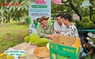 Chủ vườn “vỡ òa” khi 10 tấn sầu riêng được chốt đơn qua livestream