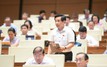 Đại biểu Nguyễn Văn Cảnh lần thứ 2 tha thiết đề xuất quy tắc "dây kéo áo" để giảm tắc đường