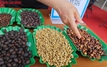 Giá cà phê hôm nay 11-7: Robusta lao dốc 3 con số
