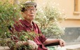 Tác giả kịch bản phim "Biệt động Sài Gòn" qua đời