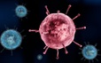 Virus cúm mùa là hậu duệ của "sát thủ" từng giết 100 triệu người?