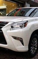 Gần 300 xe Lexus giá bạc tỉ bị triệu hồi vì lỗi túi khí Gần 300 xe Lexus giá bạc tỉ bị triệu hồi vì lỗi túi khí