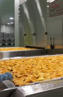 Sức hút của nông nghiệp Việt (*): Đầu tư lớn cho chế biến sâu Sức hút của nông nghiệp Việt (*): Đầu tư lớn cho chế biến sâu