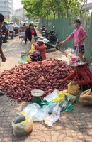 Khoai lang Nhật 10.000 đồng/kg tràn khắp các tuyến phố TP HCM Khoai lang Nhật 10.000 đồng/kg tràn khắp các tuyến phố TP HCM