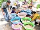 Đãi trùn chỉ làm giàu Đãi trùn chỉ làm giàu