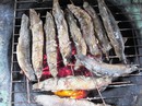 Về phương Nam, thèm món cá đồng Về phương Nam, thèm món cá đồng