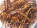 Khô nhái, món ngon Bảy Núi Khô nhái, món ngon Bảy Núi