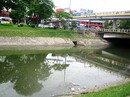 Sông, hồ Hà Nội ngày càng ô nhiễm Sông, hồ Hà Nội ngày càng ô nhiễm