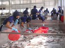 Hay nhưng cần có lộ trình Hay nhưng cần có lộ trình