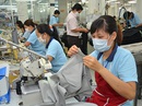 Giảm nhập nguyên liệu Trung Quốc Giảm nhập nguyên liệu Trung Quốc