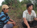 Vụ "hậu kỳ án vườn điều": Nội dung tố giác đã gửi cơ quan công an Vụ "hậu kỳ án vườn điều": Nội dung tố giác đã gửi cơ quan công an
