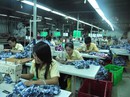 Thị trường lao động sau Tết sẽ ổn định Thị trường lao động sau Tết sẽ ổn định
