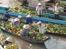Hàng nông sản đua nhau giảm giá Hàng nông sản đua nhau giảm giá