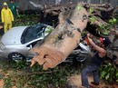 Bão Rammasun càn quét Philippines Bão Rammasun càn quét Philippines