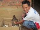 Triệu phú gà rừng Triệu phú gà rừng