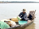 Mùa cá trên hồ Trị An Mùa cá trên hồ Trị An