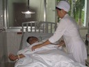 Bị ong vò vẽ đốt, 1 người tử vong, 3 người nguy kịch Bị ong vò vẽ đốt, 1 người tử vong, 3 người nguy kịch