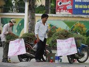 Phát “sốt” với cây nở ngày đất Phát “sốt” với cây nở ngày đất