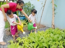 Cần giám sát những đề án lớn Cần giám sát những đề án lớn