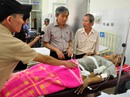 Hai xe khách đối đầu, 23 người bị thương Hai xe khách đối đầu, 23 người bị thương