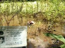 Giết người tình rồi định nổ mìn tự sát Giết người tình rồi định nổ mìn tự sát