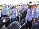 Tăng cường quản lý NLĐ Việt Nam tại Hàn Quốc Tăng cường quản lý NLĐ Việt Nam tại Hàn Quốc