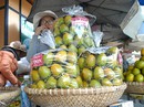 Hồng Trung Quốc ‘giết’ hồng Đà Lạt Hồng Trung Quốc ‘giết’ hồng Đà Lạt