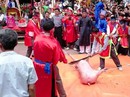 Có thể xóa bỏ nghi thức hiến sinh trong lễ hội? Có thể xóa bỏ nghi thức hiến sinh trong lễ hội?