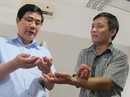 Vải thiều “thắng lớn” nhất trong hơn 60 năm qua Vải thiều “thắng lớn” nhất trong hơn 60 năm qua