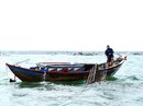 Độc đáo nghề bẫy mực "làm chơi ăn thiệt" trên vịnh Cam Ranh Độc đáo nghề bẫy mực "làm chơi ăn thiệt" trên vịnh Cam Ranh