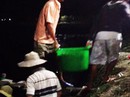 Có một chợ đêm hải sản nhộn nhịp trên mép đìa Có một chợ đêm hải sản nhộn nhịp trên mép đìa