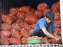 Khoai tây Trung Quốc tràn ngập chợ Nông sản Đà Lạt Khoai tây Trung Quốc tràn ngập chợ Nông sản Đà Lạt