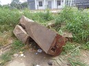 Trưởng công an xã chặt “cây thiêng” trong nghĩa địa? Trưởng công an xã chặt “cây thiêng” trong nghĩa địa?