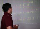 Cổ phiếu “vua” trở lại Cổ phiếu “vua” trở lại