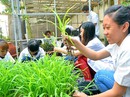 Yêu nghề đâu chỉ nói suông Yêu nghề đâu chỉ nói suông