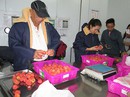 Vải Bắc Giang đi Mỹ Vải Bắc Giang đi Mỹ