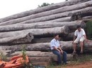 Bộ Công an “đánh úp” các xưởng gỗ khủng ở Gia Lai Bộ Công an “đánh úp” các xưởng gỗ khủng ở Gia Lai