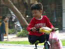 Điều kỳ diệu của phim tài liệu Điều kỳ diệu của phim tài liệu