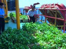 Âm vang Trường Sa Âm vang Trường Sa