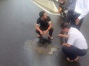 Hoá chất phá hoại Quốc lộ 1 là dầu diezen và nhựa thông Hoá chất phá hoại Quốc lộ 1 là dầu diezen và nhựa thông