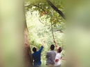 Trung Quốc: Lễ hội bị hủy vì du khách trộm chuông gió Trung Quốc: Lễ hội bị hủy vì du khách trộm chuông gió